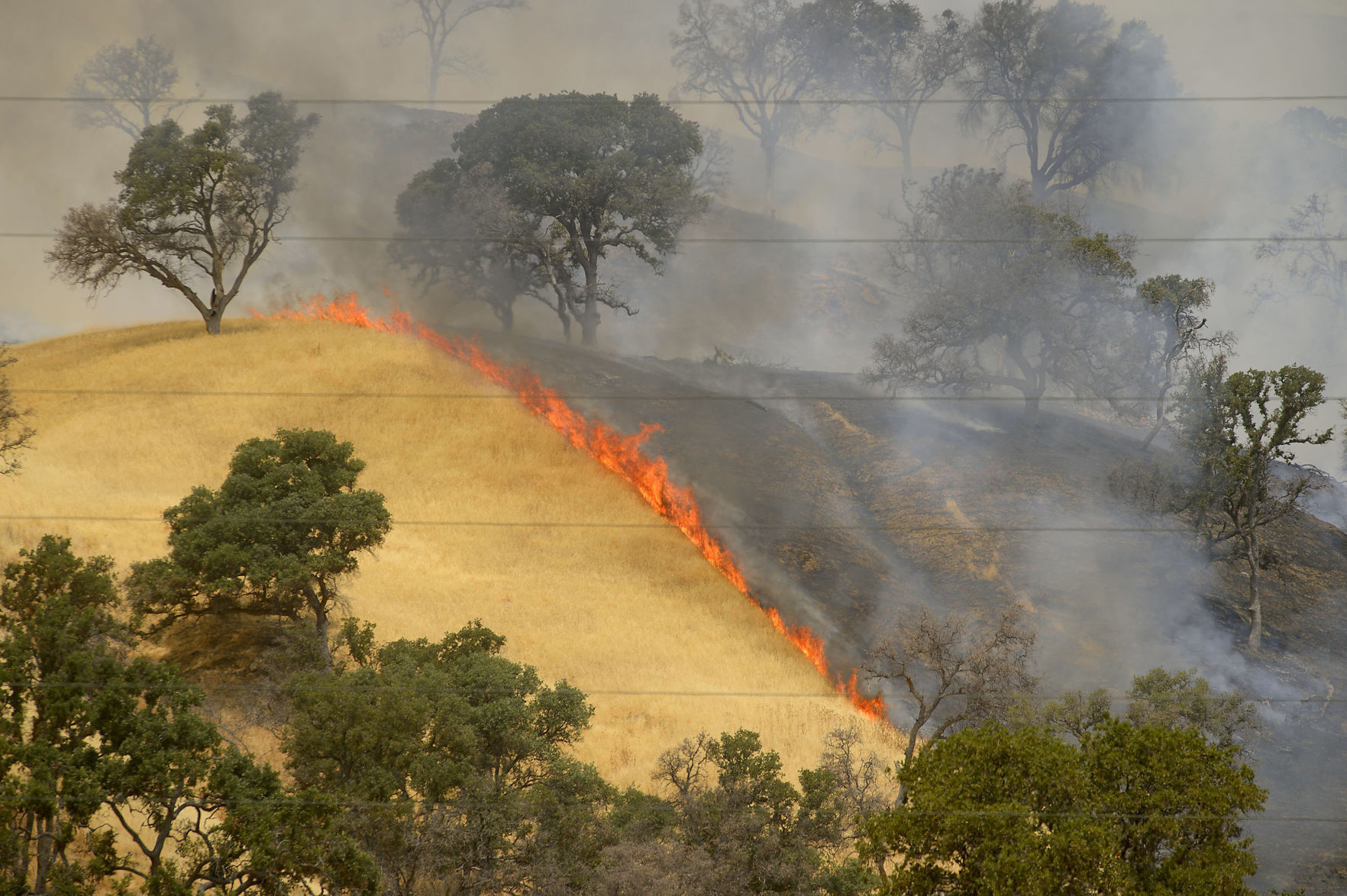 Western Wildfires